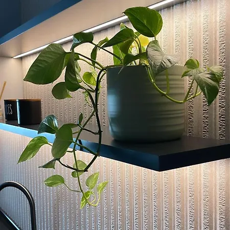 Apartment Olivea *